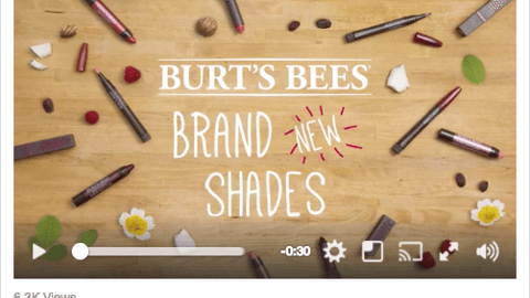 CVS Burt's Bees 'All the Buzz' Facebook Update